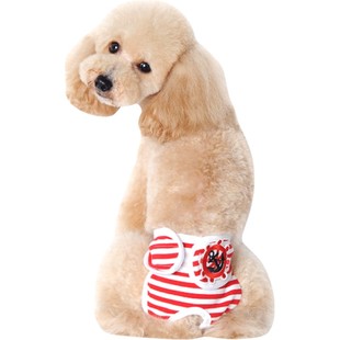 宠物狗狗生理裤泰迪卫生裤月经裤生理期用品姨妈裤子公主