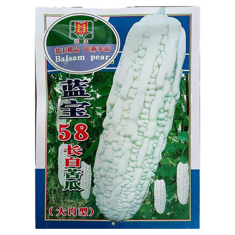 晶宝58长白苦瓜大肉型种子籽高产