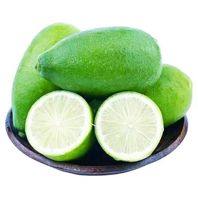 海南香水柠檬奶茶店专用顺丰包邮