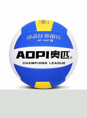 中考学生比赛7号专业训练气排球