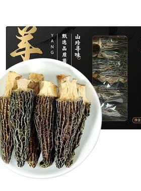 绿帝羊肚菌干货煲汤食材