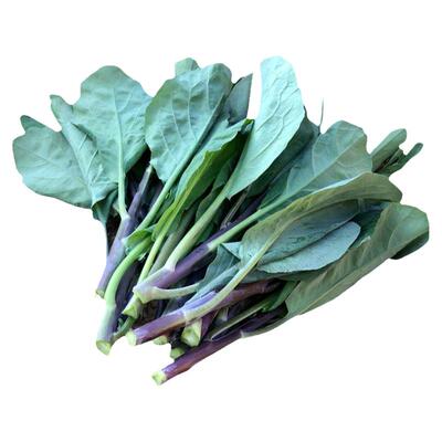 潮汕红脚芥兰种籽种子四季菜头紫