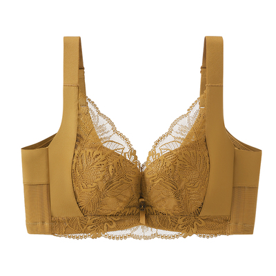 聚拢收副乳内衣女品牌专柜正品