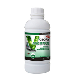 汉诺威钙磷精华液赛信鸽强壮骨骼补磷钙软骨脚幼鸽营养保健品