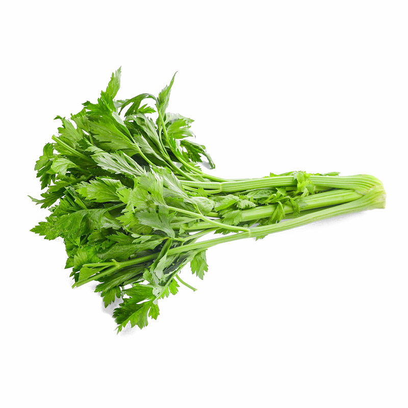[耐寒抗热]四季小香芹菜种子