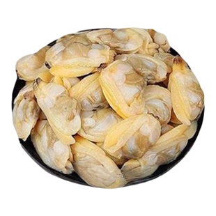 蛤蜊肉新鲜特大花甲肉鲜活现剥花蛤黄蚬子肉冷冻海鲜水产商用批发