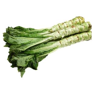顺丰包邮苏北农家种植莴笋新鲜莴苣青笋香莴笋紫叶下饭菜时令蔬菜
