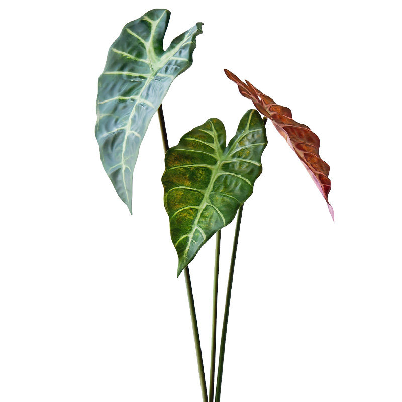 海外订单网红高仿真热带观叶植物叶片ins风室内造景海芋白锦龟背