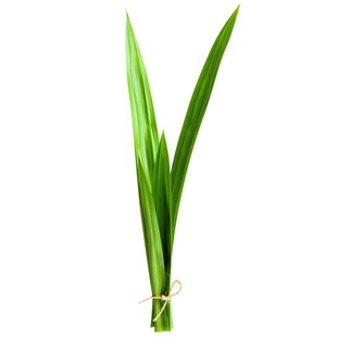 新鲜香兰叶500g斑斓叶甲抛叶千层蛋糕芒果糯米饭调料食用泰国香料