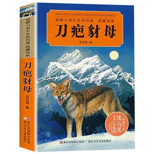 正版 刀疤豺母 动物小说大王沈石溪 品藏书系完整版全本6-7-10-12-15岁 文学三四五六年级小学生课外阅读图书 少儿故事畅销书籍