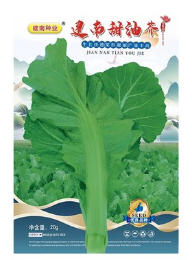 建南甜油芥菜种子大肉介菜种籽
