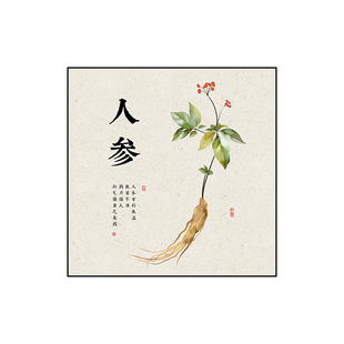 中药房墙面装饰挂画中草药文化墙医院诊所背景墙画文化氛围宣传画