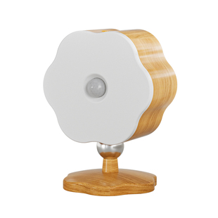 人体感应灯楼梯间人来即亮楼道转角智能家用走廊过道无线充电续航