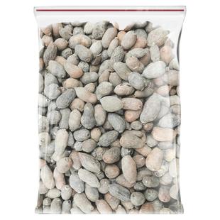 藏蒲桃藏族习用药 海南蒲桃 萨债乌墨乌楣麻里果野冬青果印度