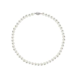 dellamo正圆倪妮同款珍珠项链女轻奢小众高感锁骨链2025年新款女