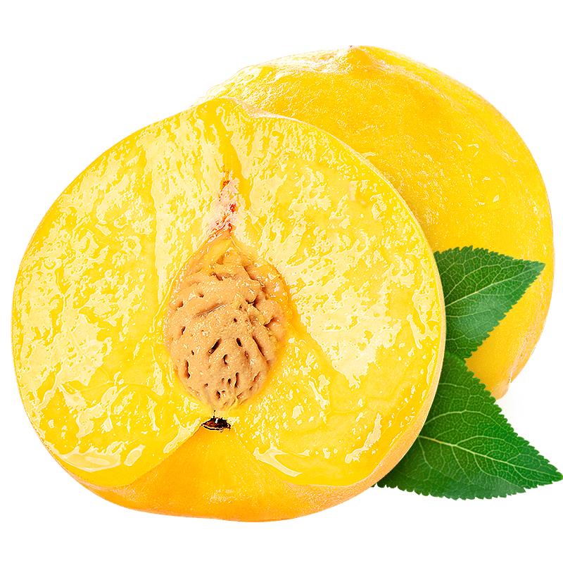 【顺丰包邮】新鲜现摘黄金蜜桃
