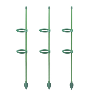 植物防倒伏支架支撑杆园艺固定架朱顶红花架龟背竹天堂鸟爬藤植物