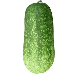 毛节瓜种子四季蔬菜种孑迷你小冬瓜种籽种早熟高产阳台毛瓜春秋季