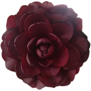 名贵黑色系稀有山茶花树苗盆栽超级黑赤丹金碧辉煌 墨川 超级墨川