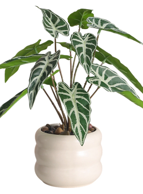 仿真植物装饰小盆栽办公室客厅桌面室内盆景摆件假花绿植拍摄道具