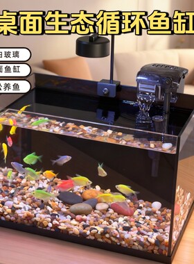 【全套包邮】30x18x20cm金晶超白玻璃黑背底座桌面鱼缸造景过滤