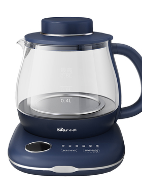 养生壶办公室小型全自动煮茶