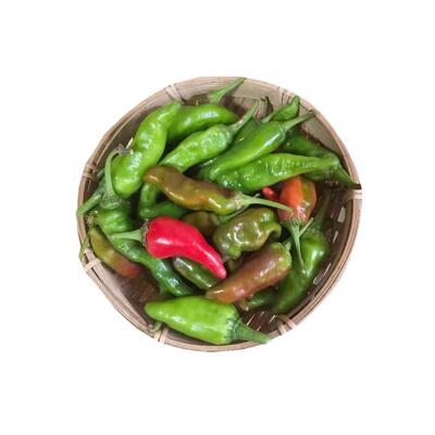新鲜土辣椒青红辣椒随机　