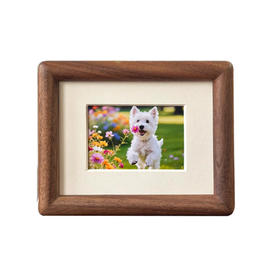 宝宝胎毛宠物结婚证件照迷你相框