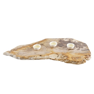 寓石林茶盘 家用简约木化石茶具功夫茶海 硅化木干泡式石头茶台