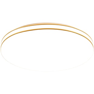 灯罩外壳吸顶灯罩房间阳台走廊亚克力防刺眼圆形单独灯罩灯配套件