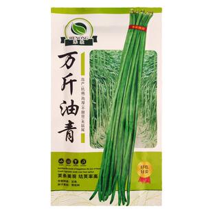 万斤油青长豆角种子绿豇豆种子 青豆角 黑籽豆角菜豆春季夏秋播种