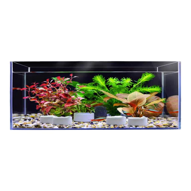 北京店铺活体真水草中后景有茎草水草套餐好养耐活适合新手养殖的