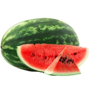 沙瓤西瓜硒砂瓜种子孑籽苗超甜麒麟巨型宁夏特大山地石头西瓜籽种