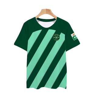 2024浙江职业足球俱乐部队服绿城冰丝速干短袖T恤衫男女球衣半袖