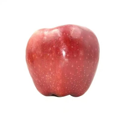 山西运城粉面香甜秦冠苹果