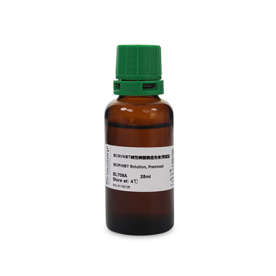生物化学试剂BCIP/NBT（预混型）