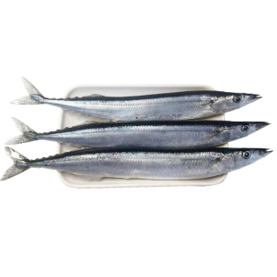 舟山秋刀鱼新鲜冷冻鲜活冰鲜深海海鱼海鲜水产日式料理烧烤食材