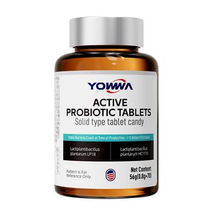 益生菌口臭口气重成人调理肠胃女男士特干效非药嘴巴臭除口腔含片