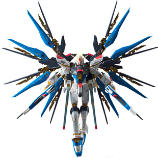 日本Bandai/万代 RG 自由强袭高达 限定 敢达 正义 飞翼 脉冲现货