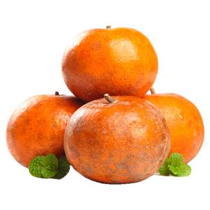 广西新鲜乌柑丨香甜爆汁