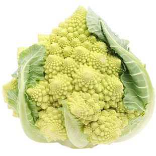 罗马宝塔菜种子花椰菜种籽孑特色菜花花菜四季蔬菜籽种秧菜籽菜种