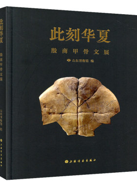 学海轩此刻华夏殷商甲骨文展契文初识回望殷商甲骨春秋学者与山东相关论文甲骨占卜简介干支表等毛笔书法字帖临摹本上海书画出版社
