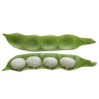 东北油豆角九月青新鲜