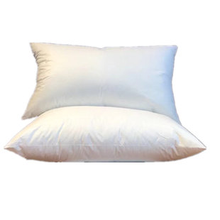 酒店宾馆枕头枕芯五星级宾馆柔软超软 一对大不变形高正品抗菌