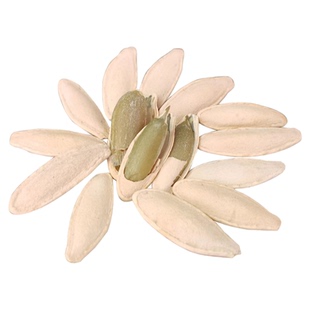 大粒美人甲长粒南瓜籽椒盐味盐焗咸味南瓜子美指甲大颗粒瓜子零食