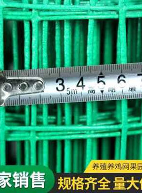 厂销新钢丝网子小孔硬加粗铁丝网围栏铁网格网养鸡网拦鸡网围栏品