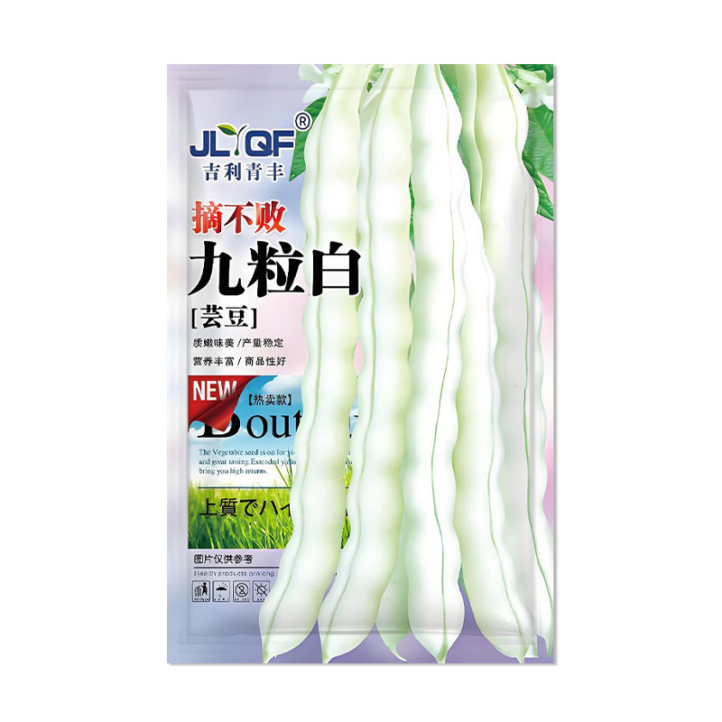 吉利青丰摘不败九粒白芸豆种子