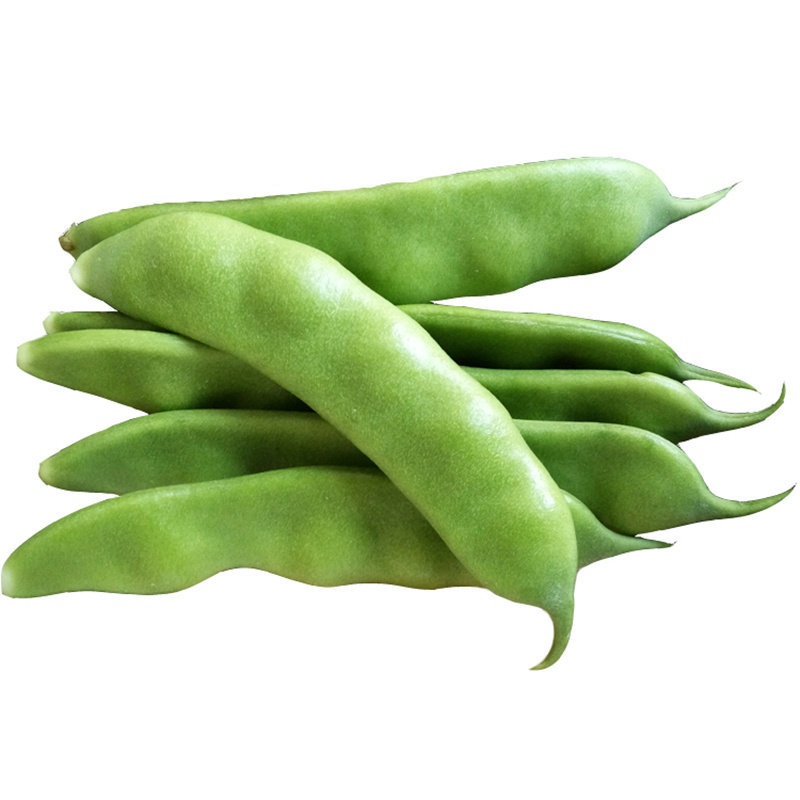 东北油豆角农家新鲜蔬菜特产九月青开锅烂宽面豆角食用现摘包邮5