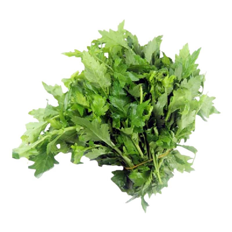 正宗南京菊花叶蔬菜籽春夏秋播种