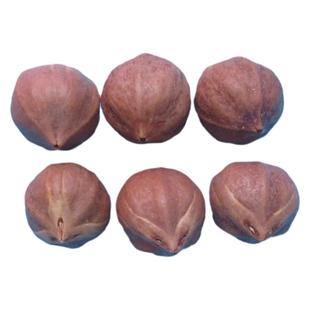 橄榄核雕原籽正圆光珠红油核文玩把玩菩提子罗汉弥勒素珠单颗料籽